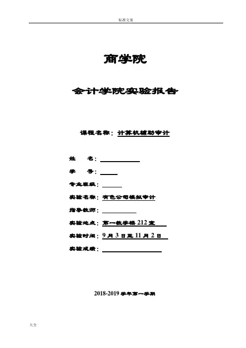 《计算机辅助审计》实验报告材料1