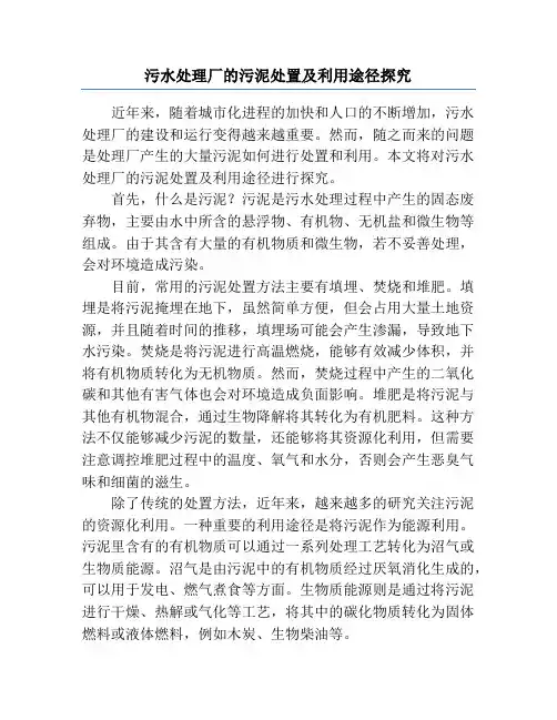 污水处理厂的污泥处置及利用途径探究