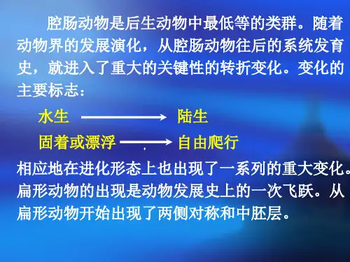 第六章扁形动物