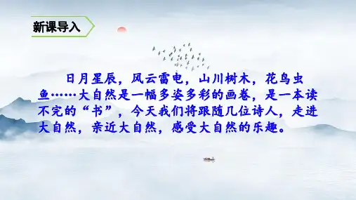  古诗词三首宿建德江人教(部编版) PPT 优秀课件