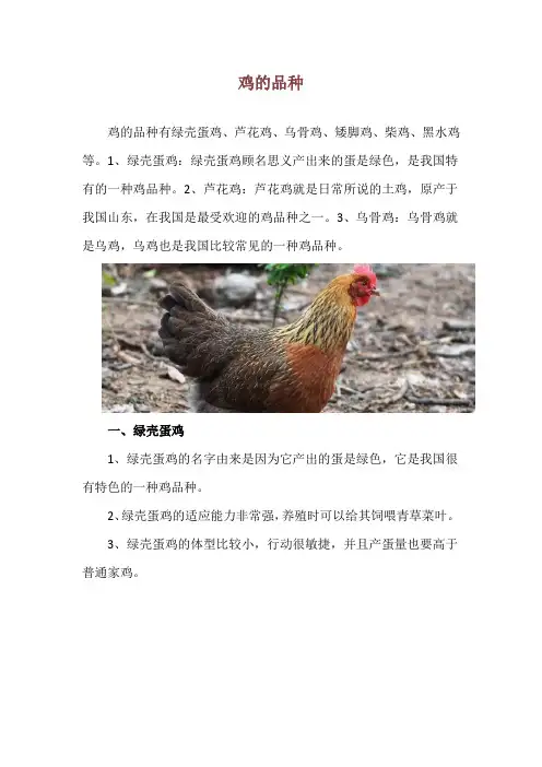 鸡的品种_精品文档