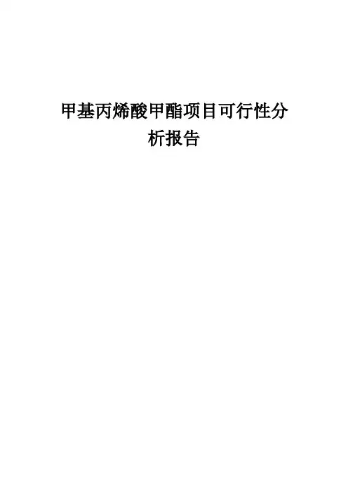 2024年甲基丙烯酸甲酯项目可行性分析报告