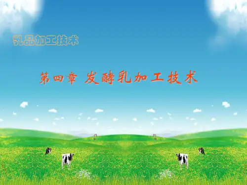 第四章_发酵乳制品的加工