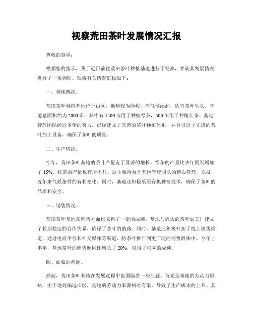 视察荒田茶叶发展情况汇报