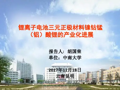 31、【胡国荣】锂离子电池三元正极材料镍钴锰(铝)酸锂的产业化进展——中南大学