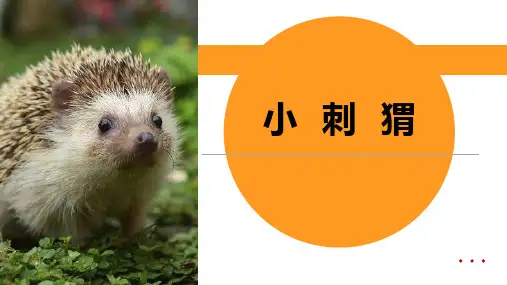 创意美术课件《小刺猬》