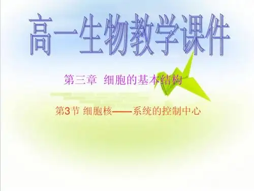 人教版 高一生物 第三章第三节 细胞核的结构及功能