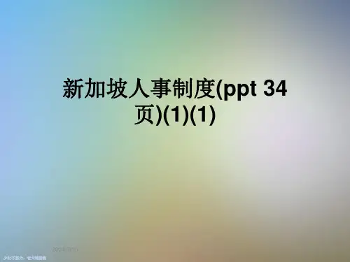 新加坡人事制度(-34页)(1)(1)