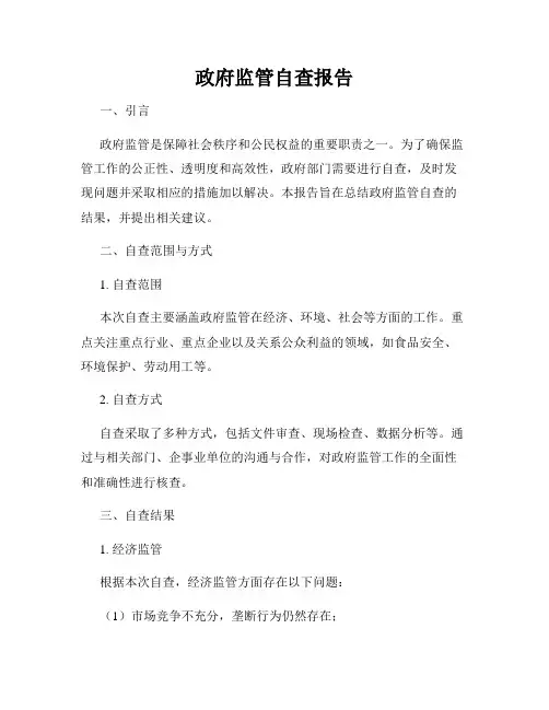 政府监管自查报告