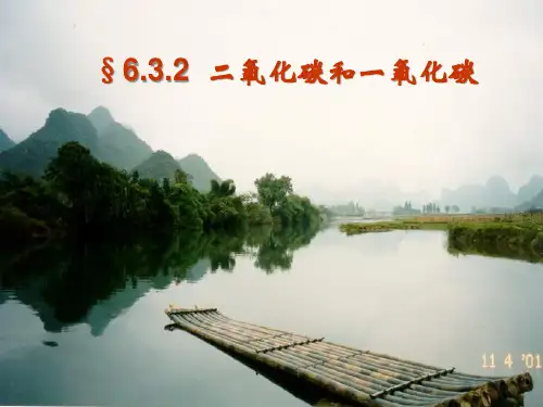 人教版化学九年级上册 6.3 二氧化碳和一氧化碳 课件