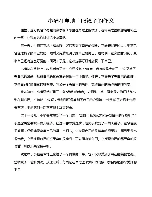 小猫在草地上照镜子的作文