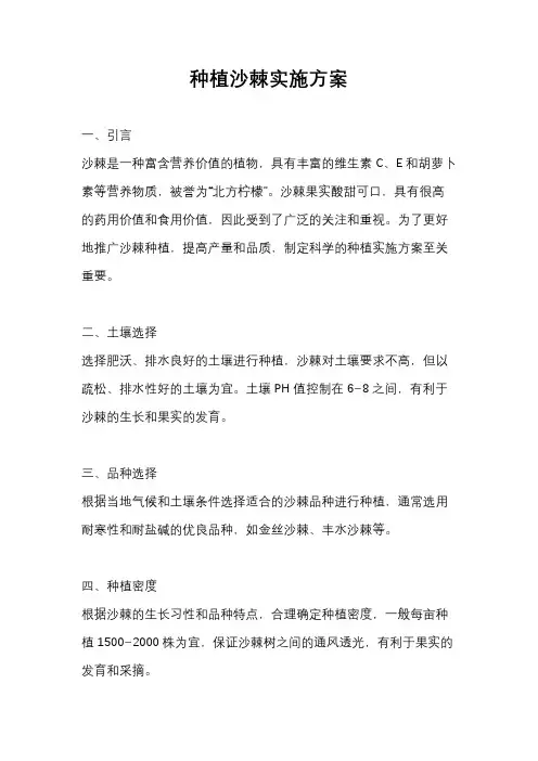 种植沙棘实施方案
