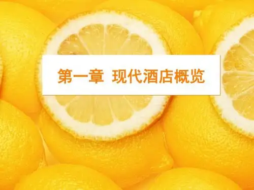 2 现代酒店概览