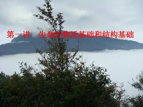 专题一生命物质基础和结构基础二轮复习课件