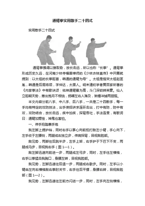 通臂拳实用散手二十四式