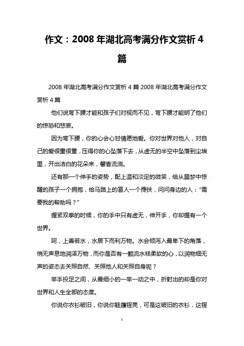 作文：2008年湖北高考满分作文赏析4篇