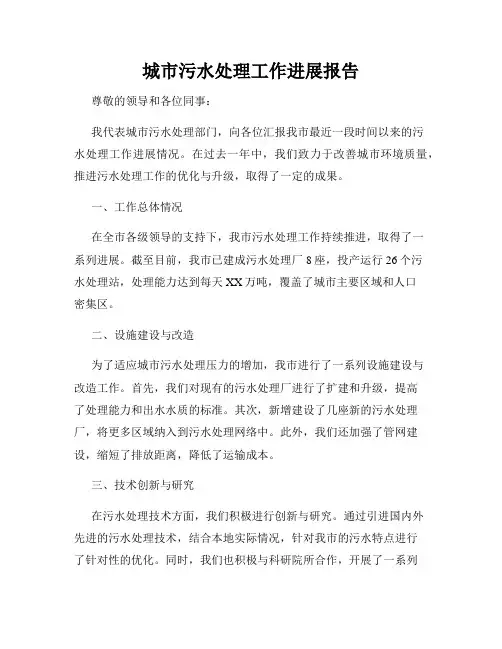 城市污水处理工作进展报告