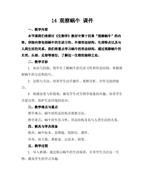 14观察蜗牛课件