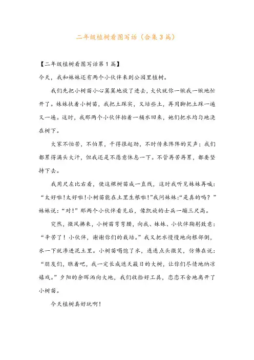二年级植树看图写话(合集3篇)