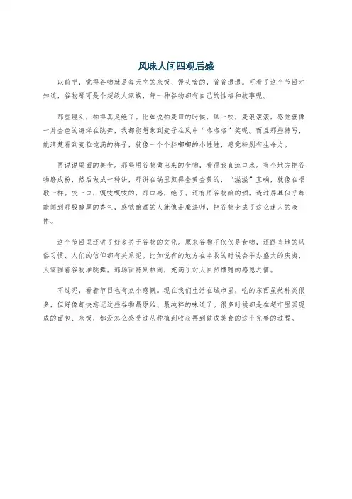 风味人间四观后感