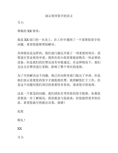 请示领导签字的范文