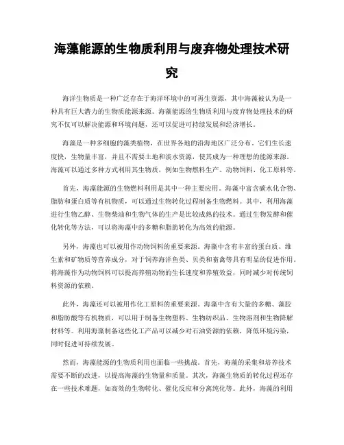 海藻能源的生物质利用与废弃物处理技术研究