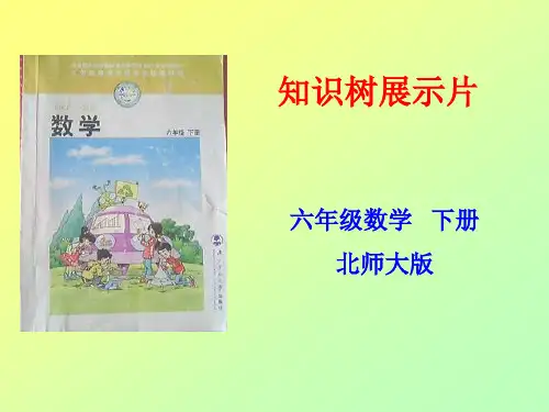 六年级下册知识树