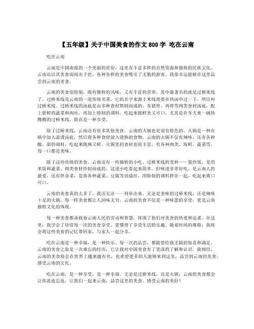 【五年级】关于中国美食的作文800字 吃在云南