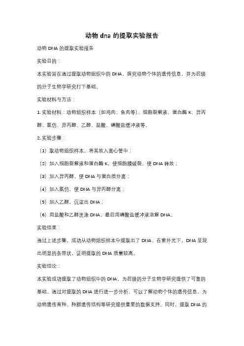动物dna的提取实验报告