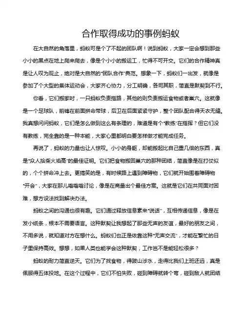 合作取得成功的事例蚂蚁