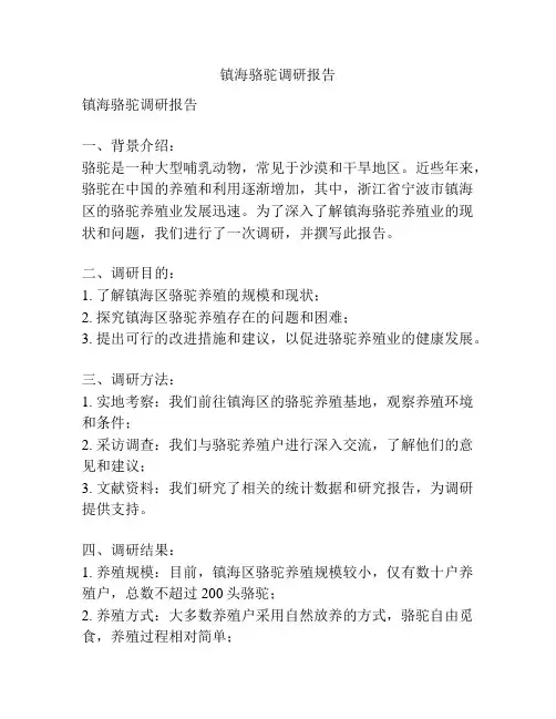 镇海骆驼调研报告