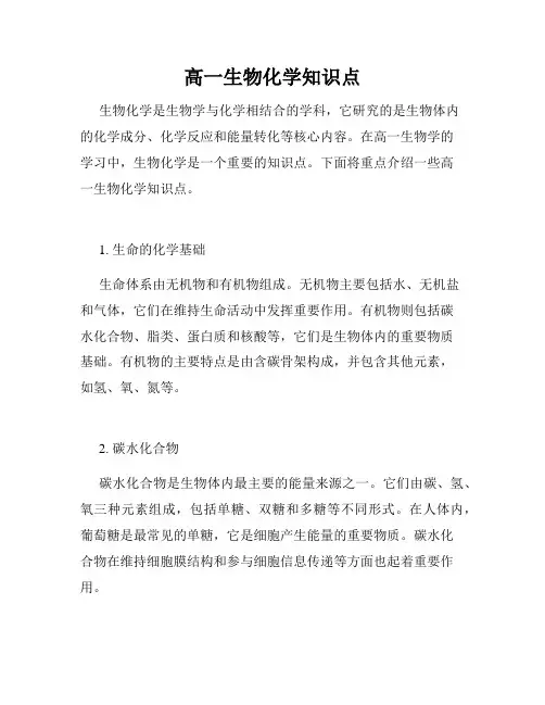 高一生物化学知识点