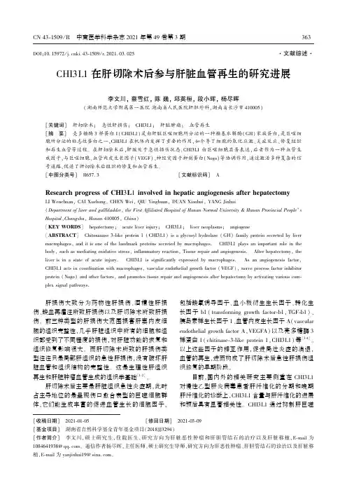 CHI3L1在肝切除术后参与肝脏血管再生的研究进展