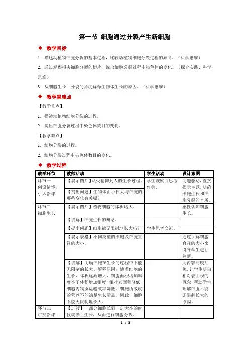 苏教版(2024)生物七年级上册2.1细胞的分裂和分化(教案)