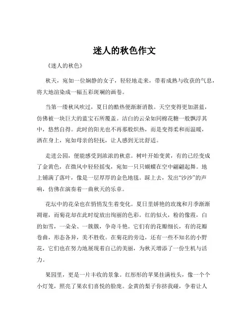 迷人的秋色作文