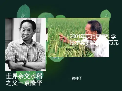 无形的财产ppt