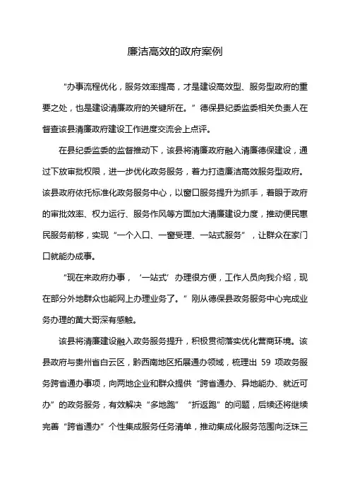 廉洁高效的政府案例