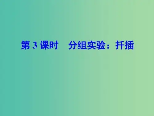 七年级科学下册 1.5 第3课时 分组实验 扦插课件 浙教版