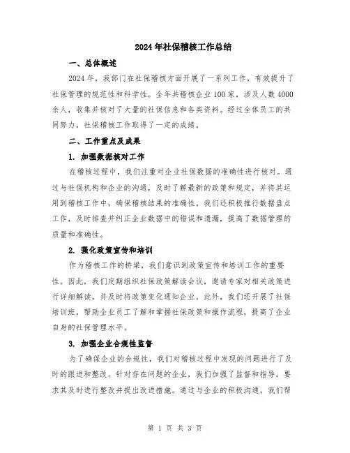 2024年社保稽核工作总结