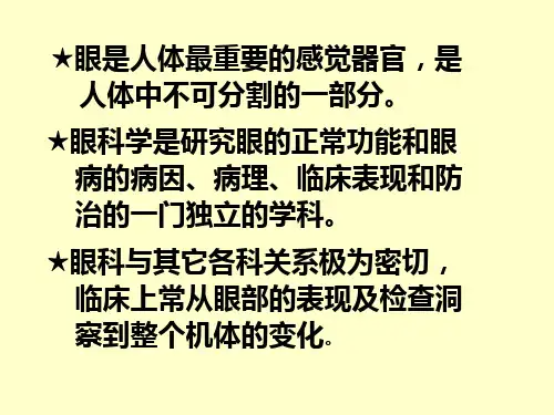 眼部解剖结构ppt课件