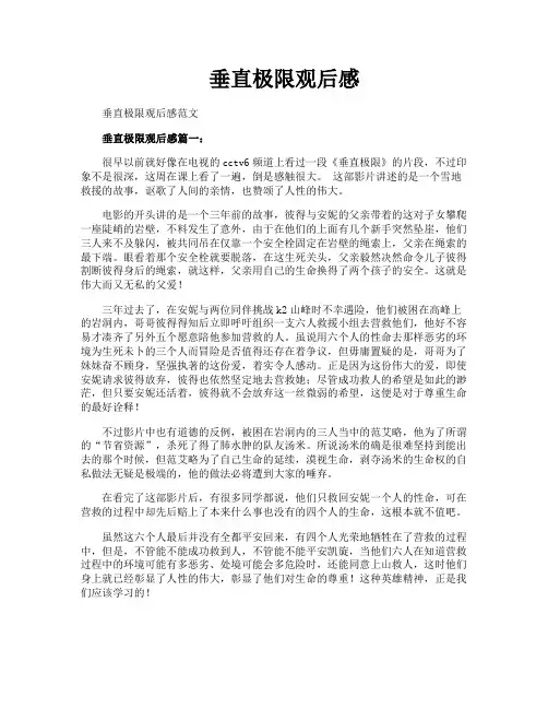 垂直极限观后感