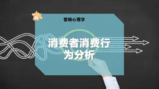 消费者消费行为分析