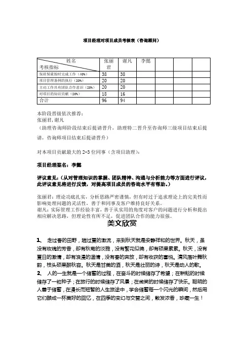项目经理对项目成员考核表(咨询顾问)-4.doc