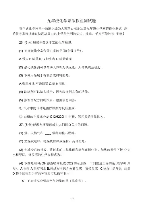 九年级化学寒假作业测试题