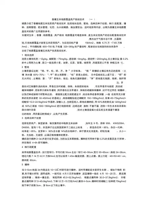春播玉米地膜覆盖高产栽培技术