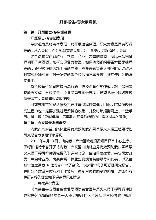开题报告-专家组意见
