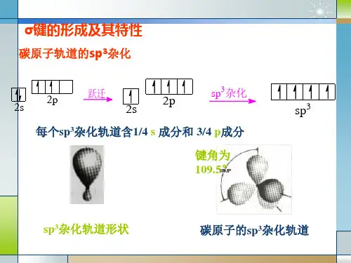 第四课 烷烃环烷烃的构象