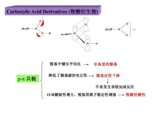 羧酸衍生物