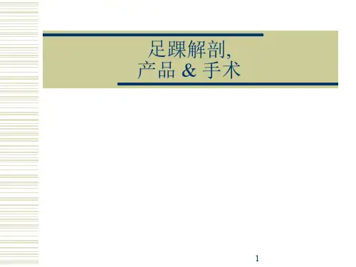 足踝解剖手术课件