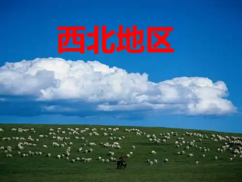 西北地区域特征